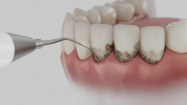 Reliable Emergency Dentist contractor in Pamlico County County, NC by Dentist Open Now
